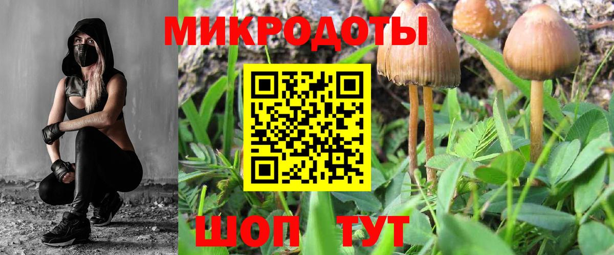 Галлюциногенные грибы Magic Shrooms  наркошоп  Вход с VPN  Тверь  Псилоцибиновые грибы Psilocybe 
